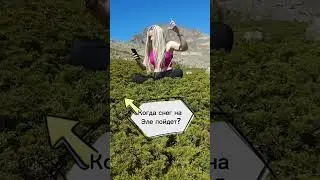 Когда открытие сезона