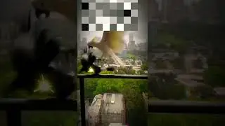 Попугай vs Ворона . Балконная суета  или Битва за место в пищевой цепочке .