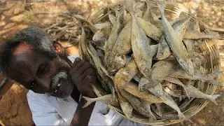 شاهد ماذا فعل الطباخ الهندي بالسمك المجفف !!