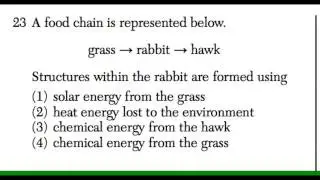 Question 23 Living Environment Regents January 2014