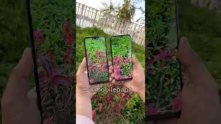 Redmi Note 12 Vs Redmi A3 Camera Test 🤜📸🤛 