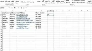 How Do I Add Area Codes to Phone Numbers in Excel  MIcrosoft Excel Tips290