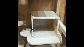 Витрина для Шиншилл своими руками 👍🐿️😁