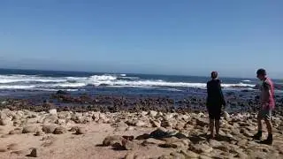 Cape of Good Hope - rocky headland on the Atlantic coast of the Cape Peninsula in South Africa