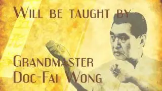 Choy Li Fut - Dai Ng Ying Kuen - Large 5 Animals Form