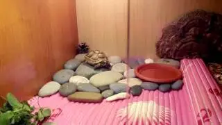 ТЕРРАРИУМ ДЛЯ ЧЕРЕПАХИ!!!