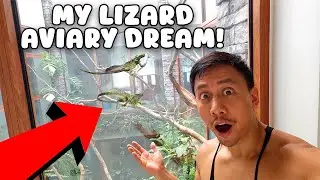 I Put Two Lizards in My Giant Home Aviary 🦎 | Vlog #1755