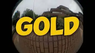 GOLD Wolverhampton Team Shove It