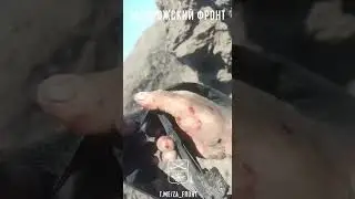 Кадры с телефона убитого солдата ВСУ,  снятые в ходе неудачного наступления под селом Пятихатки