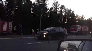 ДТП с лосем на минке