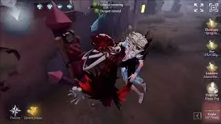 [Identity V] Perfect