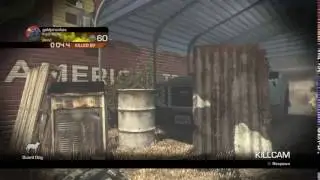 Sick Dogs, Ghosts..