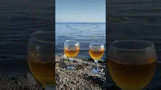 11 мая 2023 г.
