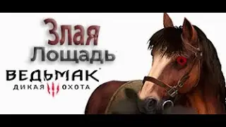 Лошадиный ведьмак (Witcher III Wild Hunt)
