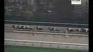 Fusaichi Pegasus- 2000 Wood Memorial