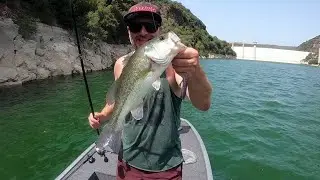 Black Bass Fishing in Sardegna