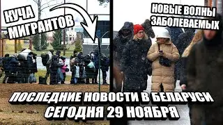 Новости в Беларуси сегодня 29 ноября. Куча мигрантов, Новые волны заболеваемых. Последние новости.