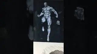 #art