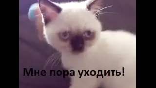 CS:GO-Ей пора...18+   :D