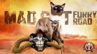 MadCat is the best cat!