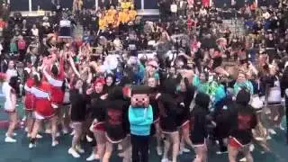 Harlem Shake Michigan Cheer Districts