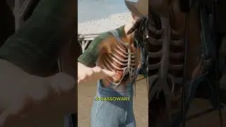 Horse Kick vs Cassowary Kick 🤔