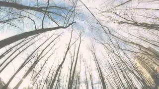 March [Belgorod] 2012