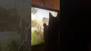 State of decay 2 we kill zombies cat kills the birds