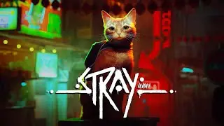 STRAY. НАЧАЛО