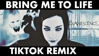 Bring Me To Life ᴴᴰ (TikTok Remix)