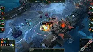 Leona vs Stupid animal