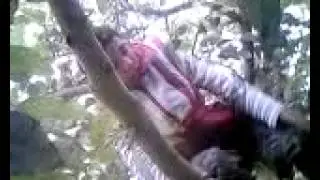 Kamal Action