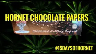 4K HORNET CHOCOLATE FLAVORED PAPERS