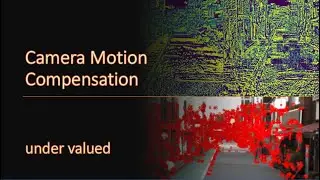 Camera Motion Compensation