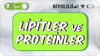 Lipitler ve Proteinler  | Öğrenme Garantili Özet Anlatım  