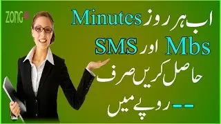 Zong All in One+Sixer Plus Package 2018