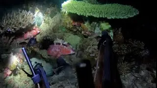 20 METERS ANG LALIM NG PAMAMANA NAMIN SARI SARING ISDA ANG HULI NAMIN