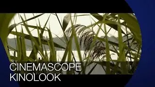 Cinemascope Kinolook I Schwarze Balken I TUTORIAL