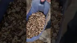 Подкормка для рыб своими руками. Корма для рыб.
