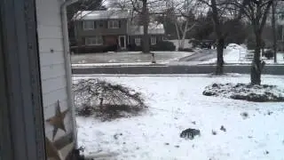 Snow Day
