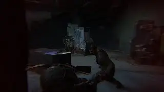The Last of Us Part II_20220116071614