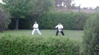 Samurai sword training