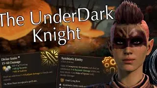 Oath of the Underdark | Paladin + Spore Druid | Baldur's Gate 3 Honour Mode Build