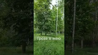 19 мая 2023 г.