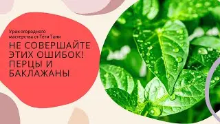 869. А чем закончится этот эксперимент.