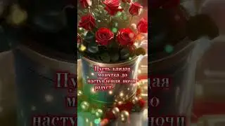 Я ХОЧУ ПОЖЕЛАТЬ ТЕБЕ ПРЕКРАСНОГО ВЕЧЕРА ! ... 