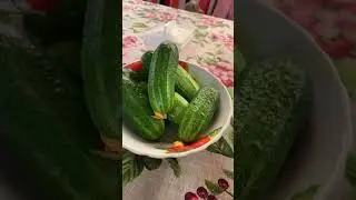 25 июня 2023 г.