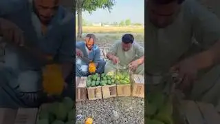 Los estafadores intentan colorear toda la fruta de la granja🤣 #shorts