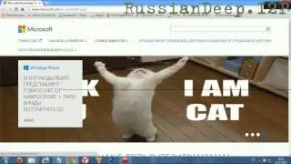 How To Fuck Microsoft.com