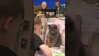 Репетитор года!